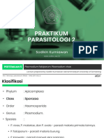 Sprozoa - P Falcifarum P Vivax