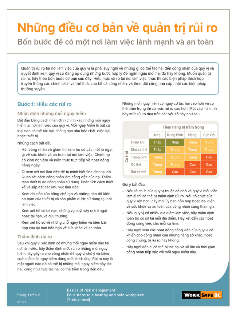 Basics Risk Management PDF VI | PDF