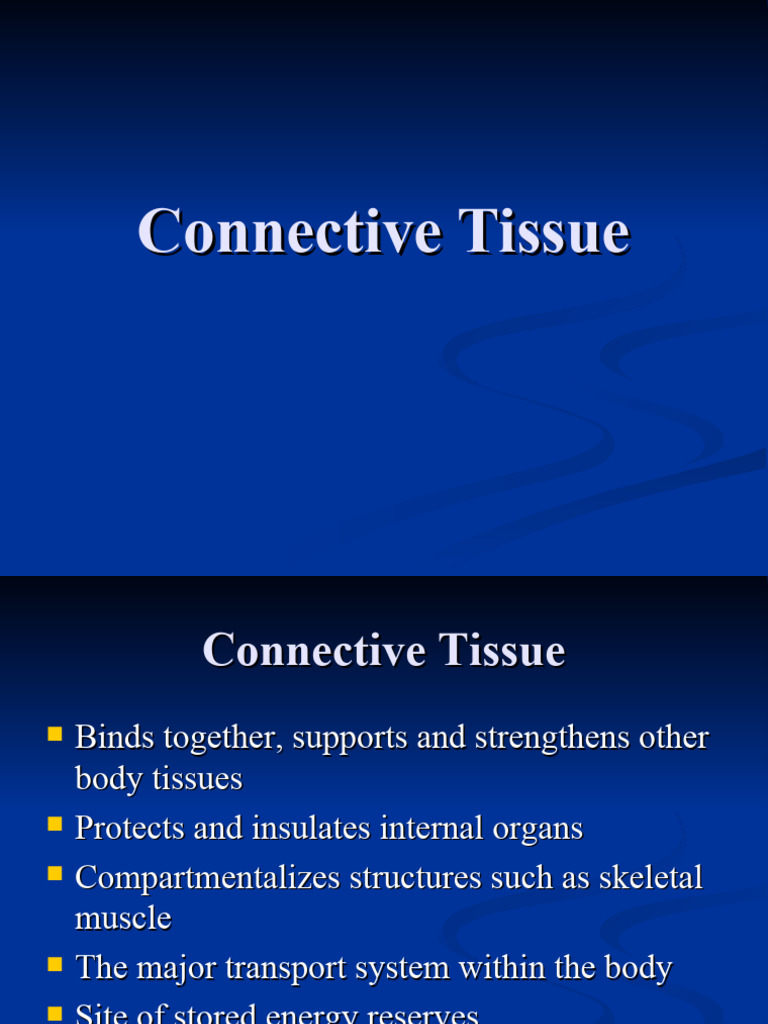 Conquer Connective Tissue An Engaging Labeling Activity - stcf5si