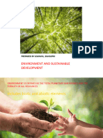 Environment and Sustainable Development