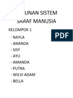 Susunan Sistem Saraf Manusia