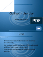 Civilizační Choroby - Prezentace 2