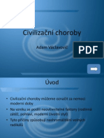 Civilizační Choroby - Prezentace 2003