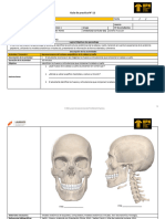 Semana 12 - Guía de Práctica de Laboratorio