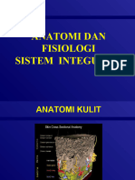 Anatomi N Fisiologi Kulit