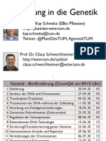 Genetik - 15 - Cell Cycle and Oncogenes - SS20