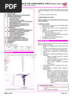 Lecture 16 IEN of The Lower Genital Tract