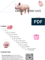 Pesta Porcină Africană: Student: Dascalu Petronela, MV, 847B Proiect Imunologie Facultatea de Medicina Veterinara