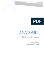 Pyetje Per Vetevleresim - Anatomi 1