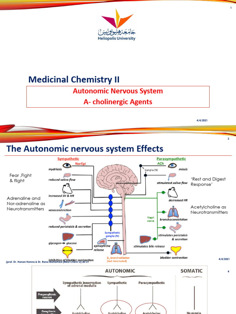 Parasympathetic nervous system intelligence overview