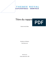 Modele Rapport