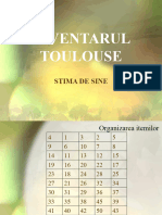 206508652-Chestionar-Toulouse-Stima-de-Sine