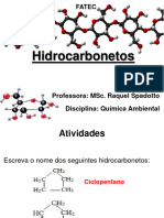 04 04 Hidrocarboneto