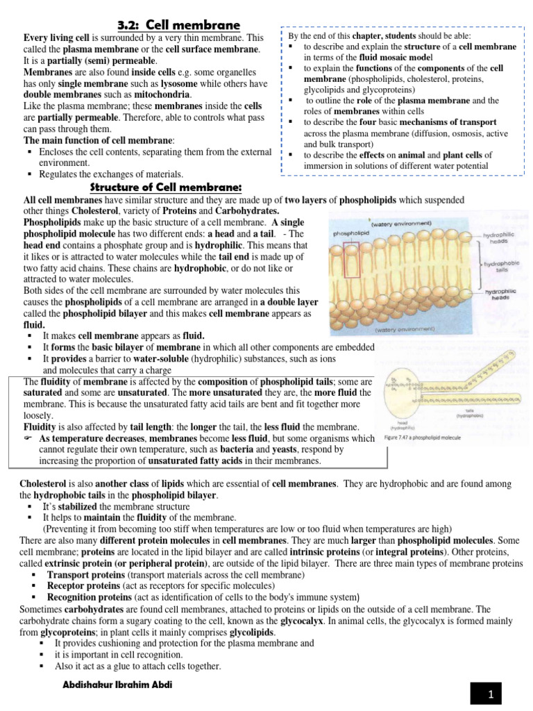 Cell Membrane Pdf Cell Membrane Cell Biology