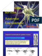 Systeme Nerveux - Anatomie Fonctionnelle