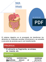Aparato Digestivo