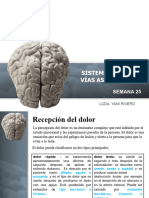 Sistema Nervioso. Vias Ascendentes. Semana 25