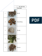 Nhận Thức Dược Liệu 1