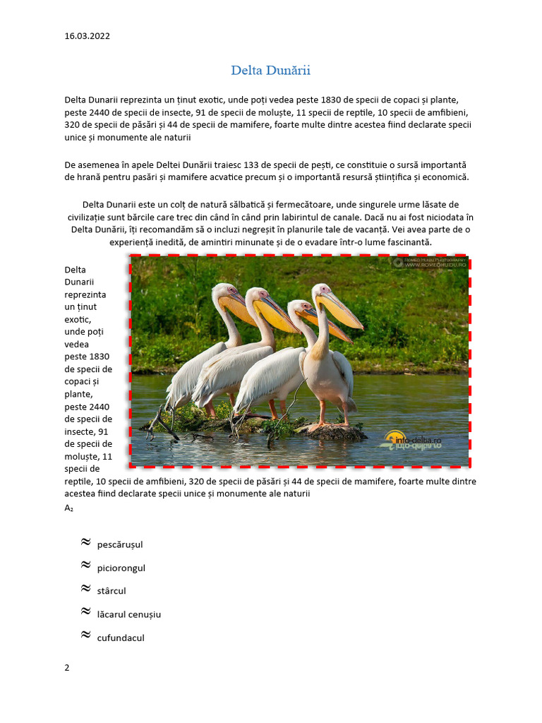 Delta Dunării | PDF