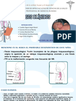 Embrio Subgrupo1