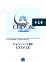 Myologie de L'épaule