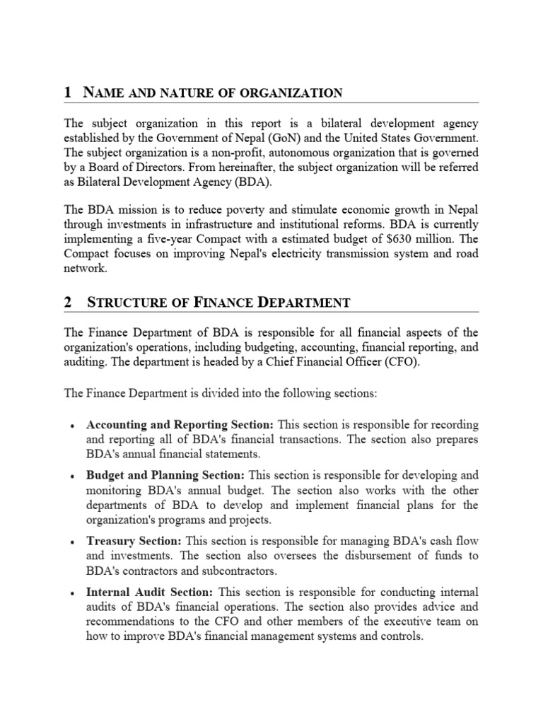 BDA Finance Department Overview and Challenges | PDF | Chief Financial ...