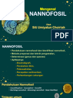 Mengenal Nannofosil