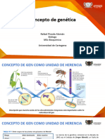 Concepto de Geneticas