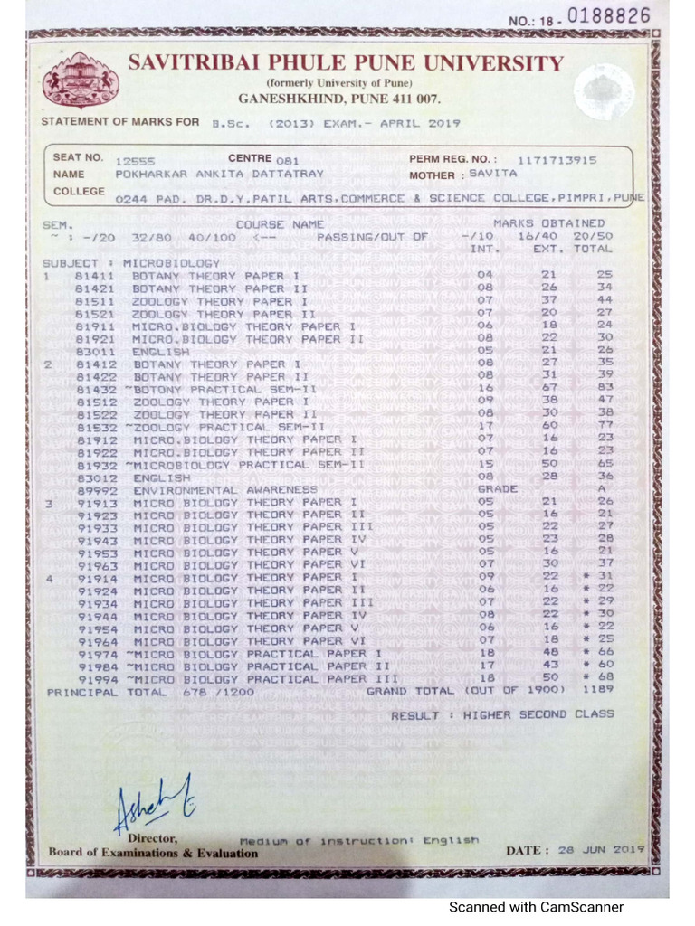 BSC Marksheet | PDF