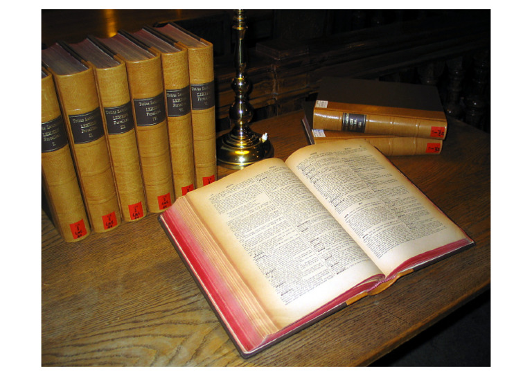 Latin Dictionary PDF