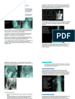 pdf24 Merged