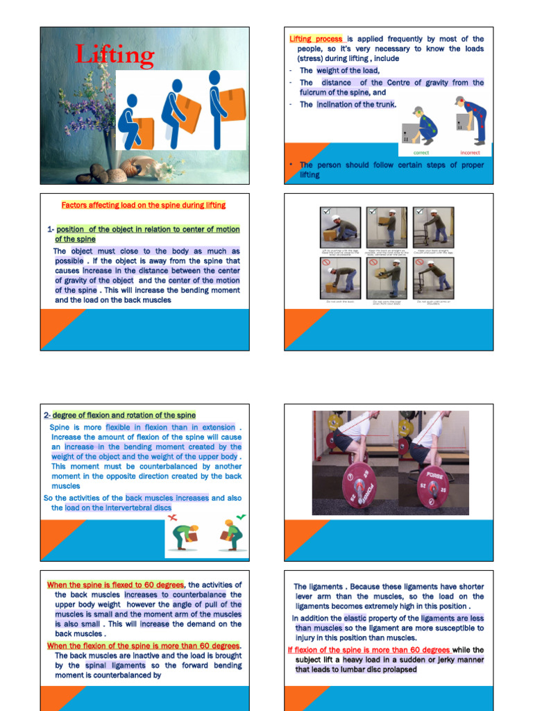 5Lifting 2 PDF Anatomical Terms Of Motion Vertebral Column