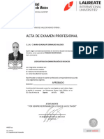 ACTA DE EXAMEN PROFESIONALuvm