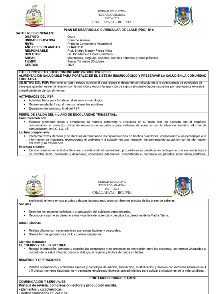 Plan de Desarrollo Curricular 2023 | PDF | Comunicación | Comprensión ...