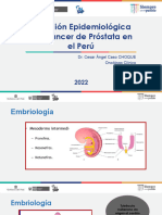 Tema 1 Situación Epidemiológica de Ca Próstata en El Perú