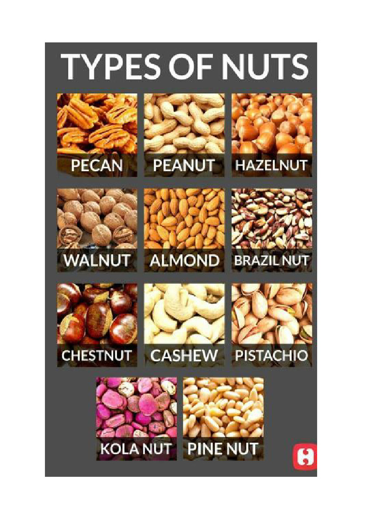 Nuts PDF