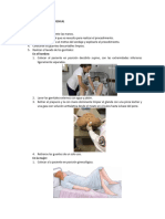 Procedimiento Sonda Vesical