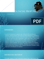 Limpieza Facial Profunda