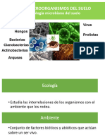 2023-5-Moo Del Suelo Sin Audio PDF