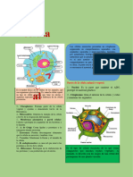 La Celula Animal y Vegetal