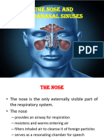 Nose and Nasal Cavities