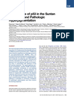 Central Role of p53 in The Suntan Response and Pathologic Hyperpigmentation 2006