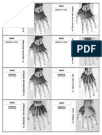 18.0.1 Músculos Miembro Superior PDF