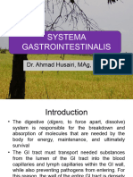 Systema Gastrointestinal-1