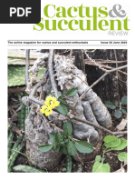 Lithops Treasures of The Veld | PDF