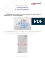 Resumo - 2727990 Fabricio Noronha - 136651185 Anatomia Humana 2020 Aula 15 Sistema Mus 1634729305