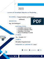 Disciplina Organizacional