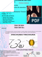 Presentación Trichuris