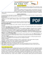 Sistema Defensivo Do Basquetebol 8º Ano