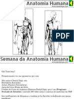 Semana Da Anatomia Humana Daniel Zupa